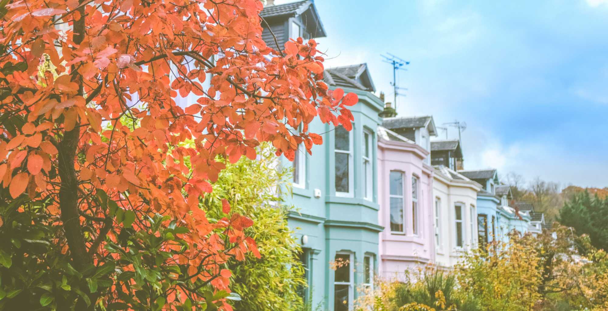 West London Property News | Autumn 2022