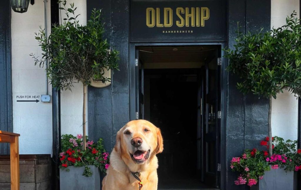 Dog friendly pubs in Hammersmith